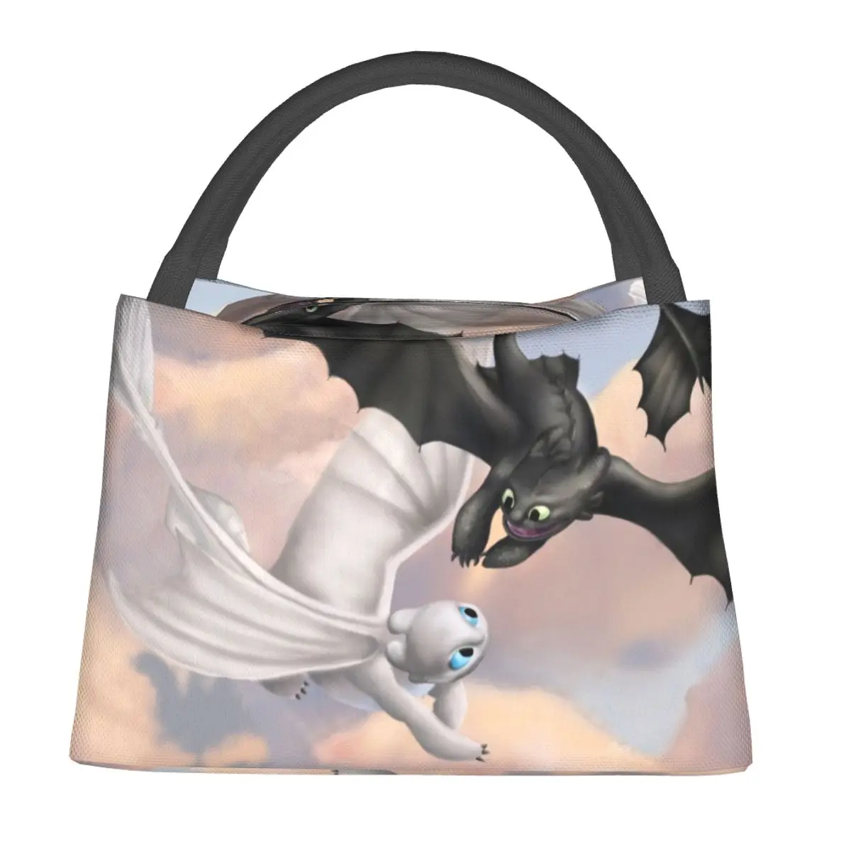 Toothless And His Lightfury Lunch Bags Insulated Bento Box Portable Lunch Tote Picnic Bags Thermal Bag for Woman Kids Travel