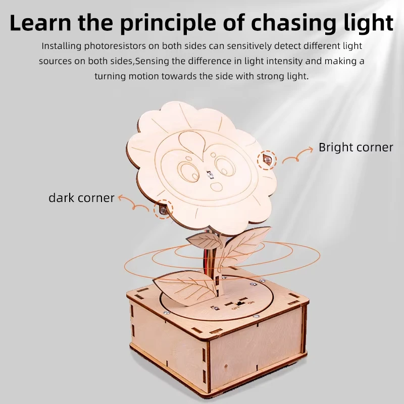 Kit di esperimenti scientifici fai-da-te girasole fai-da-te per bambini, giocattolo modello educativo, regalo fai-da-te, giocattoli per progetti di fisica per bambini giocattolo regalo