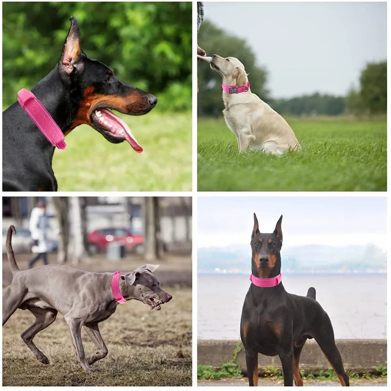 Reflective Tactical Collar Adjustable Military Training Nylon Dog Collar Dog Collar with Handle Quick Release of Dog Collar view 6