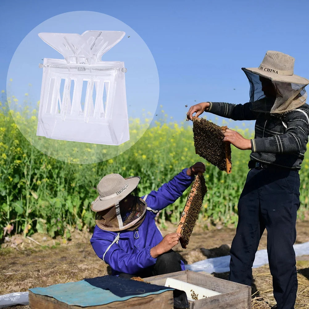 Juego de 6 uds de Clips para apicultura, herramienta receptora de reina de plástico resistente, bordes sin rebabas, Clip de jaula para manipulación segura de abejas esencial