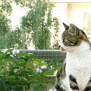 Kuşların korunması için ağ, ince örgü ağ, levha sondajı olmadan bahçede kedi, göleti örtün, 1 adet Kediler için en iyi 10 satış ağı-8 numara