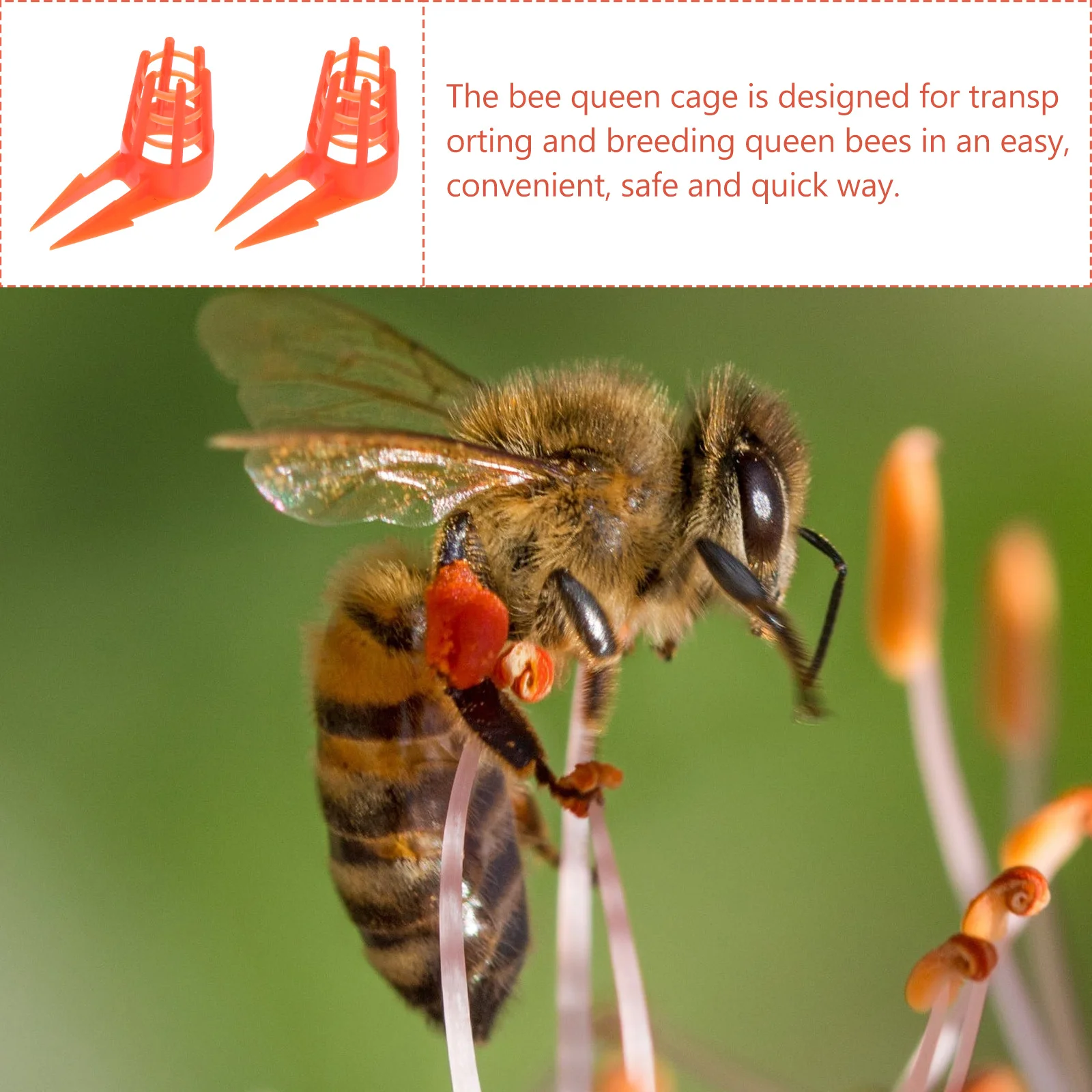 

50Pcs Queen-Bee Storage Cage Lightweight Plastic Breeding Tool for Hive Inspection and Beekeeping Protection Equipment