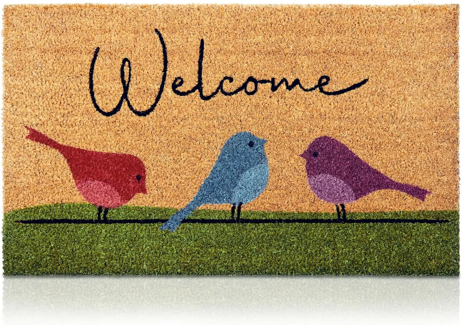 

Colorful Birds Coir Door Mat 24x36 Anti-Slip PVC Coconut Fiber Welcome Mat for Entryway Porch Minimalist Home Decor