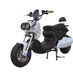 DETRITUS Hot New Design Electric Motorcycles Electric Scooter Moped City Bike  Dirt Bike For Adult