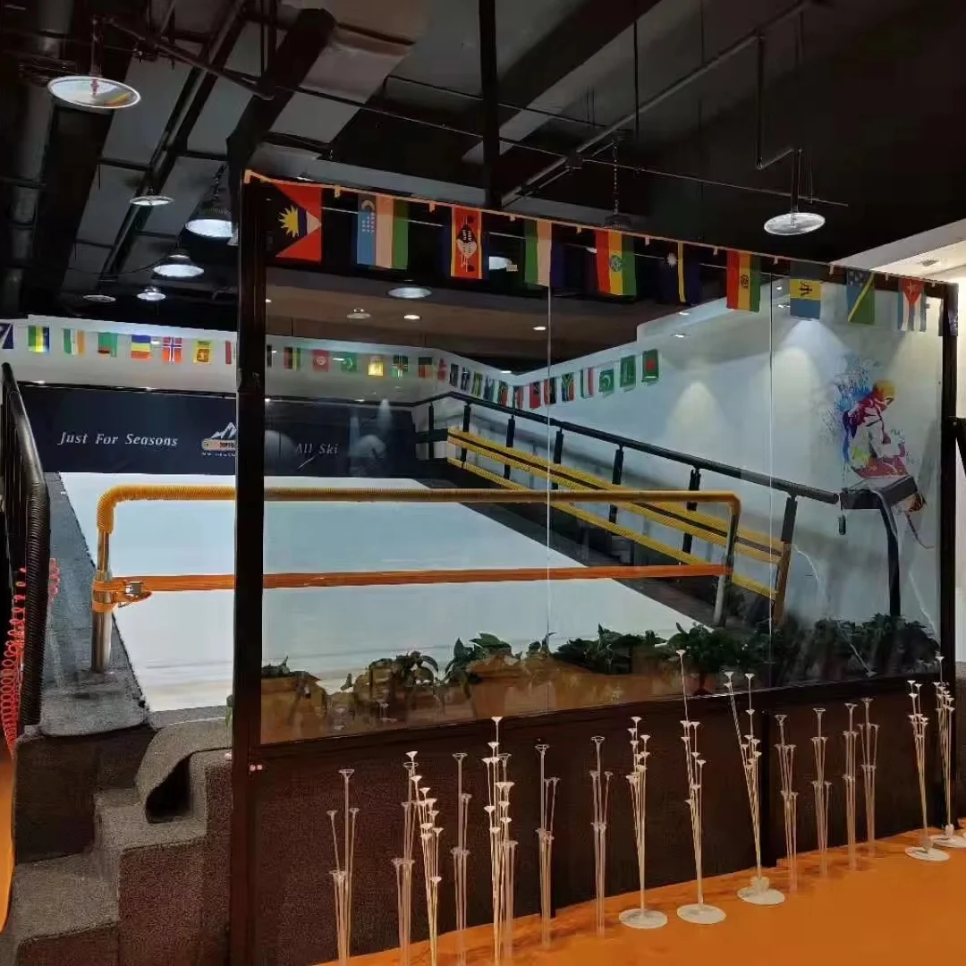 China Manufacturer Ski Simulator Indoor Training Machine on Revolving Endless Slopes