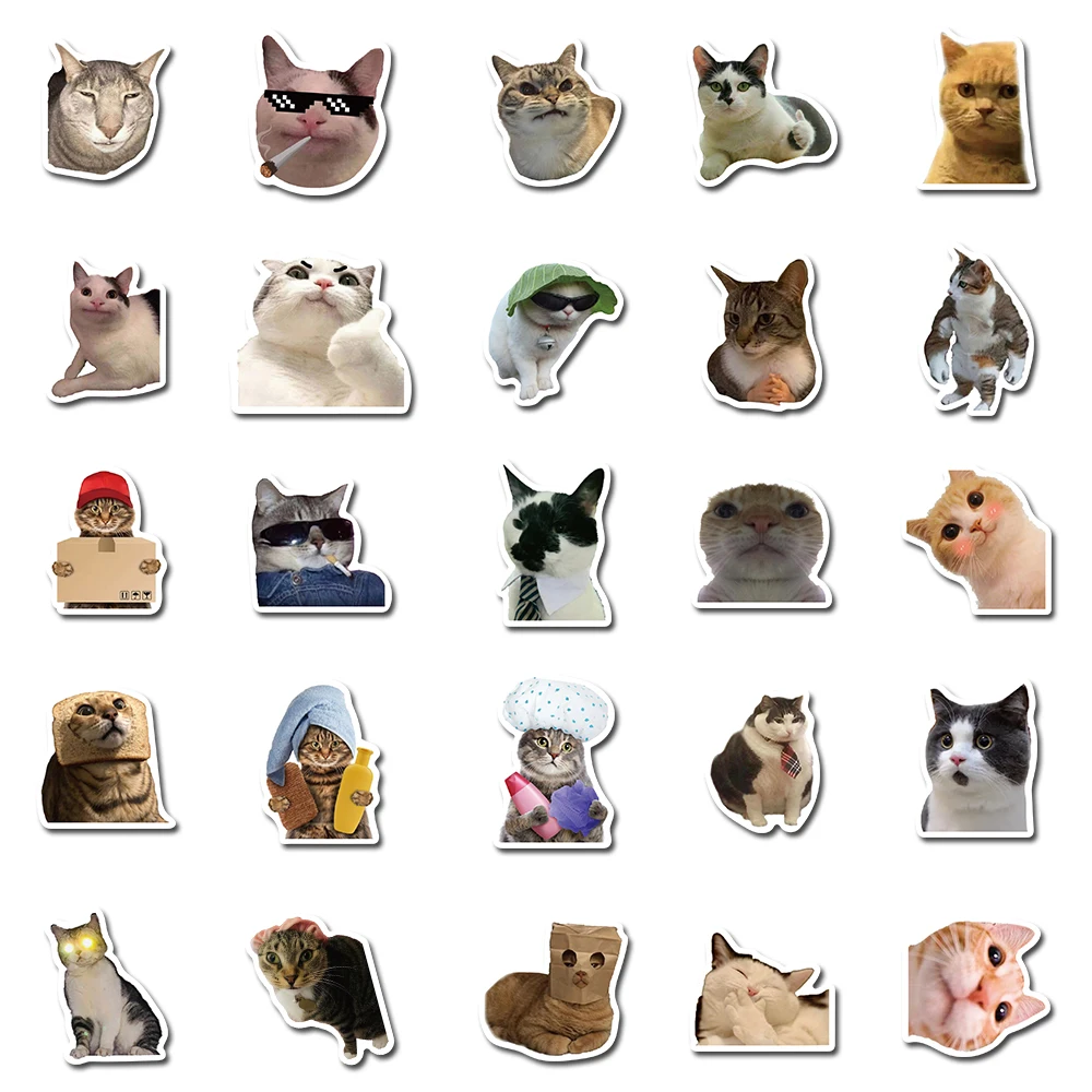 50PCS Cat MEME Funny Animals Stickers Vintage Toy DIY Kids Notebook Luggage Motorcycle Laptop Refrigerator Decals Graffiti