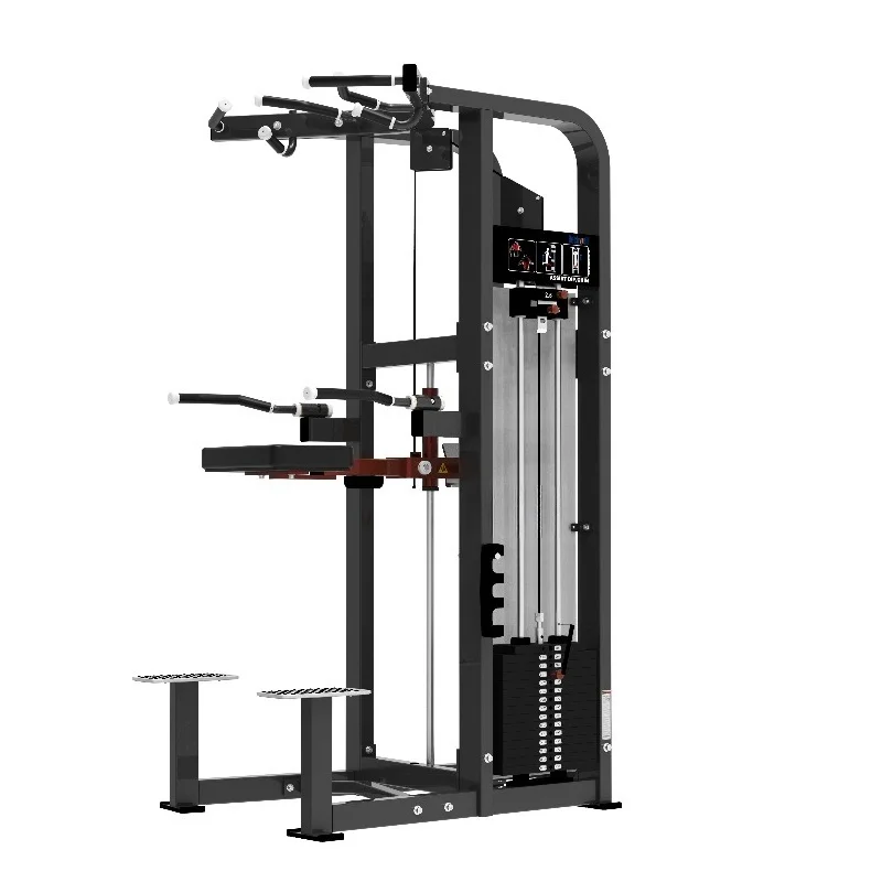 Commercial-grade fitness equipment to assist with pull-ups and arm flexion and extension exercises