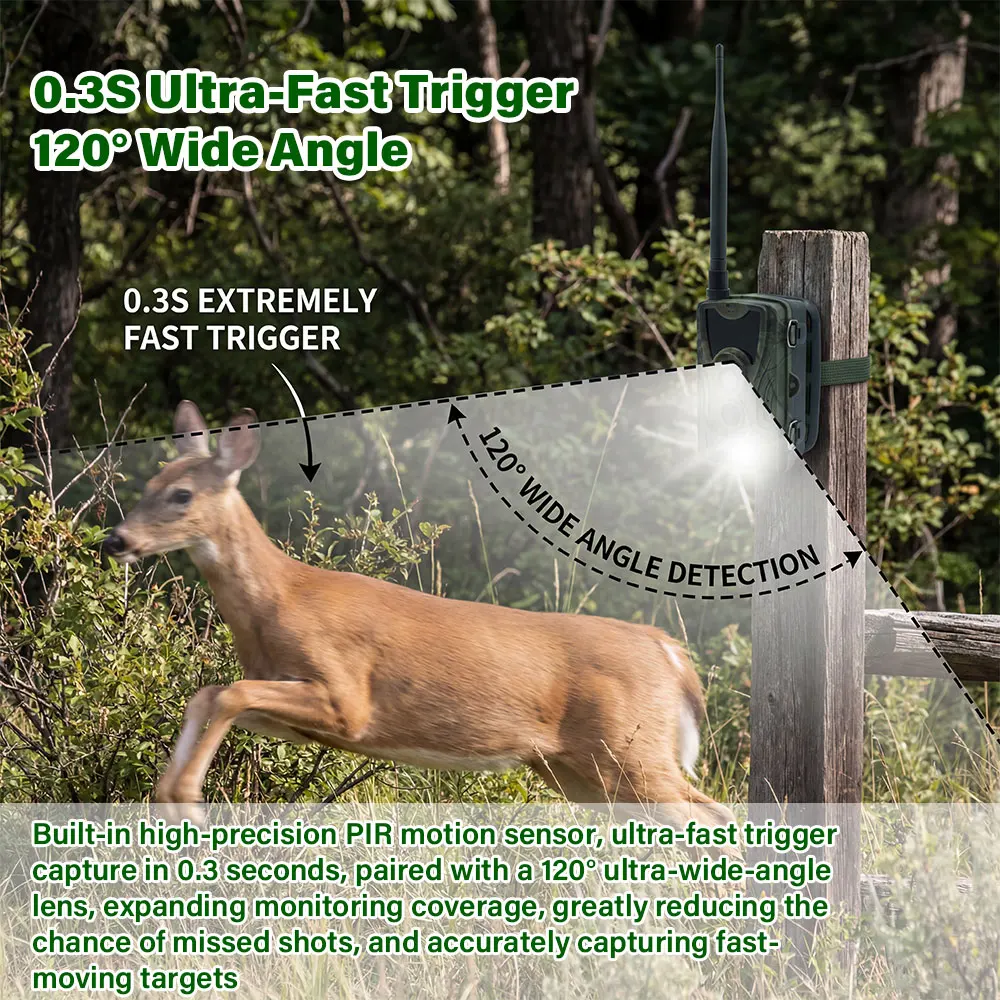 Thumbnail 3 - #6 Compare Trail Cameras Before You Buy