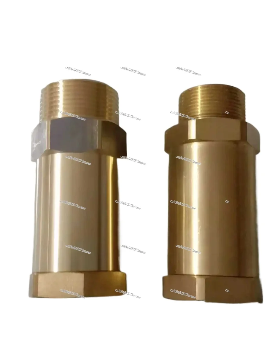 Designed for LNG Vehicles: High-quality Cryogenic Check Valves, Including Brass