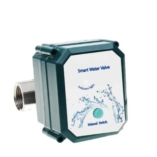 

Wifi Control Water Valve Smart Valve Stainless Steel Brass BSP NPT Motorized Flow Control Intelligent Valve Tuya