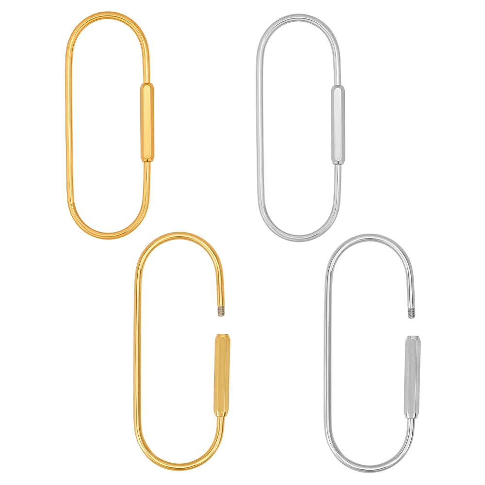 4Pcs 2 Styles 304 Stainless Steel Screw Carabiner Lock Charms Screw Locking Keychain Carabiner Clasps Oval Keychain Carabiners