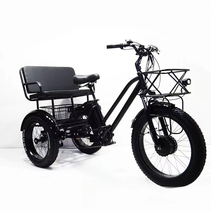 For / 24 Inch 750W Fat Tire Snow Electric Trike, Double Seat Pedal Assist Cargo Tricycle For Adults And Family Rides