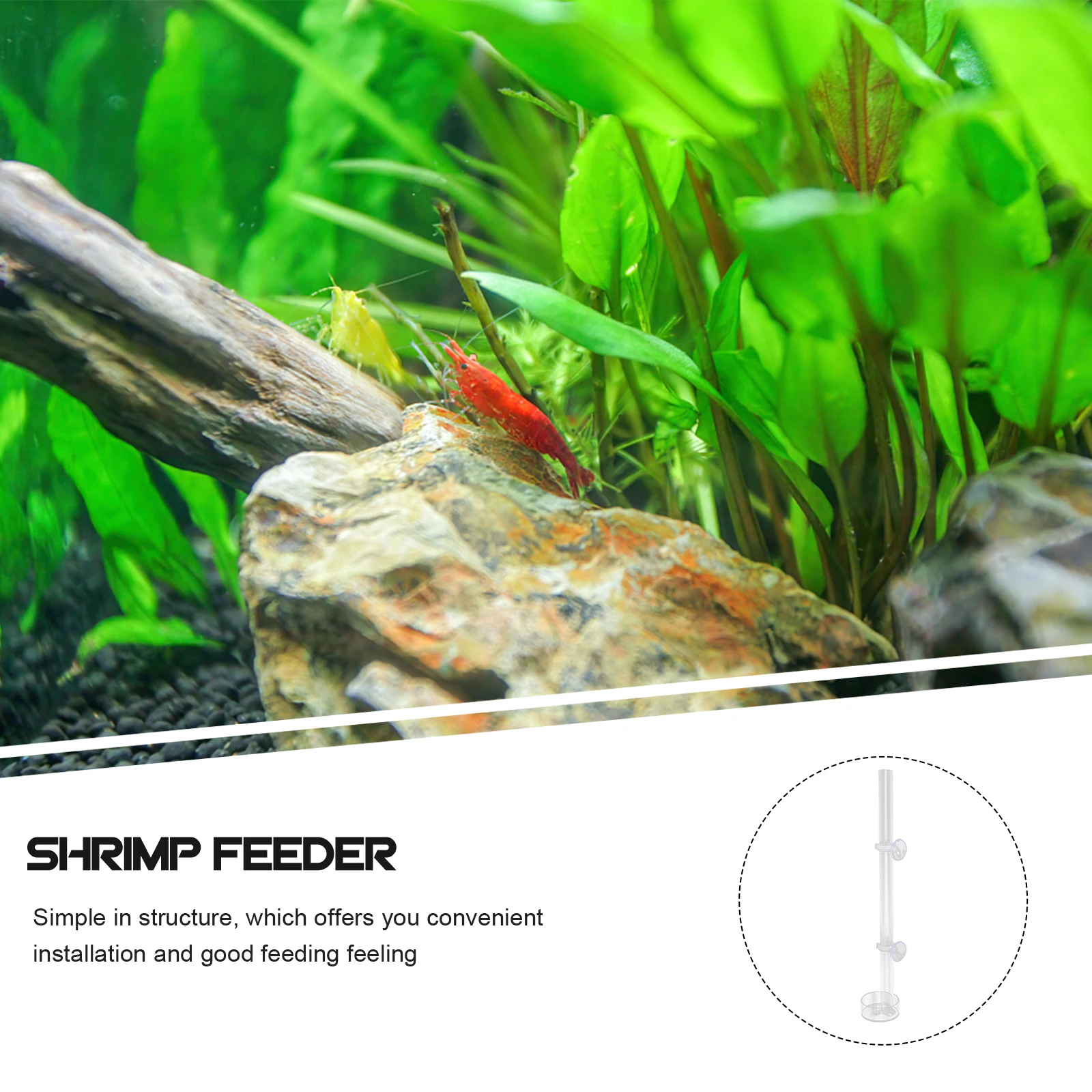

1 set Tube Transparent Tank Feeding Tool Suction Cup Acrylic Food Holder Aquarium Supplies Feeding Dish Fish Food Bowl Aquarium