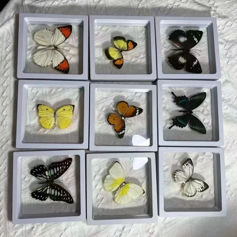 Random 5‑Pack Non‑Repeating Butterfly Mystery Set, DIY Craft Material, Photo Shooting Prop, Creative Collectible Gift