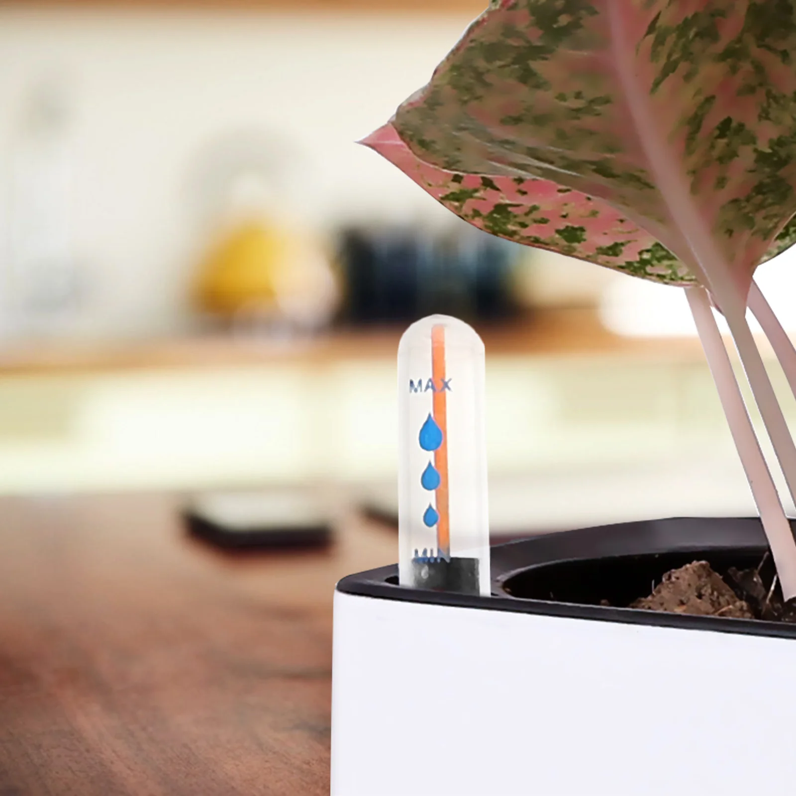 

5Pcs Water Level Gauge Plants Water Tester Sun Resistant Easy Use Intuitive Display Potted Plant Meter Buoy Flower Pot Meter