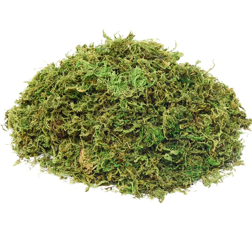 Sphagnum Moss Dry - 20g/50g Natuurlijk Mos Kunstmos voor Potplanten