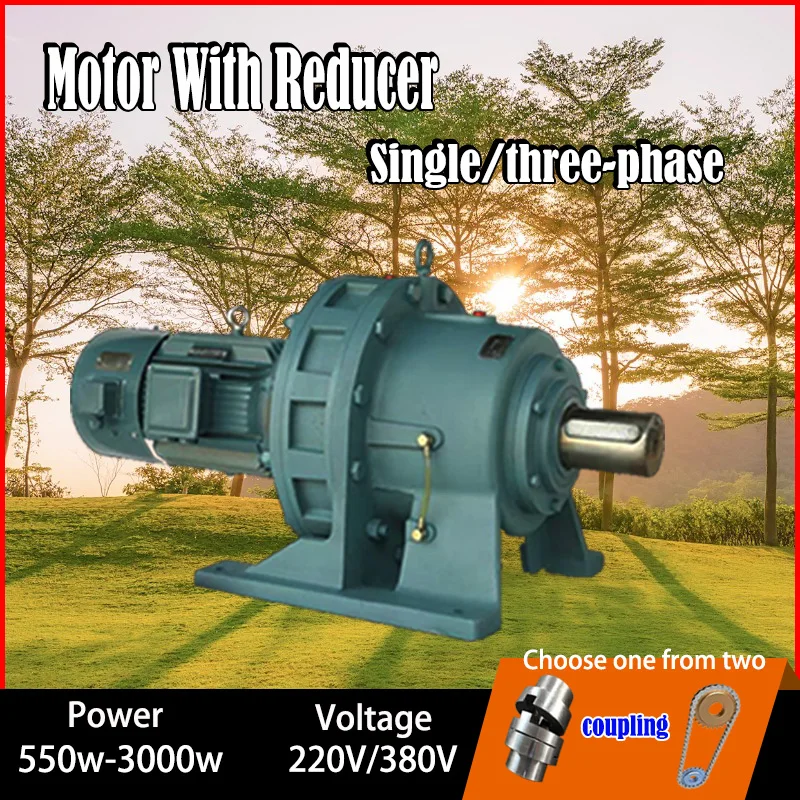 

3 Phase Asynchronous Electric Motor With Reducer 220V 380V Voltage Motor With 100RPM 200RPM Gearbox Low Speed Motors DIY