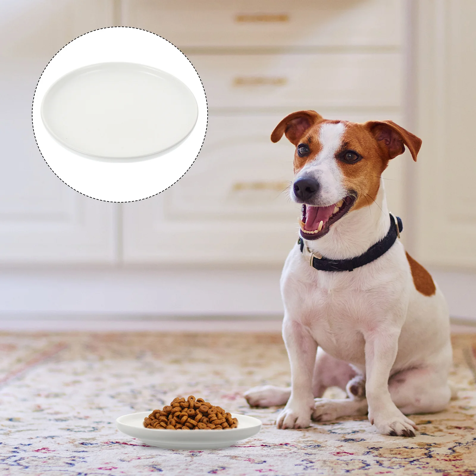 وعاء تغذية القطط من السيراميك ذو حافة ضحلة للطعام أو الماء، وعاء سيراميك سهل التنظيف للحيوانات الأليفة