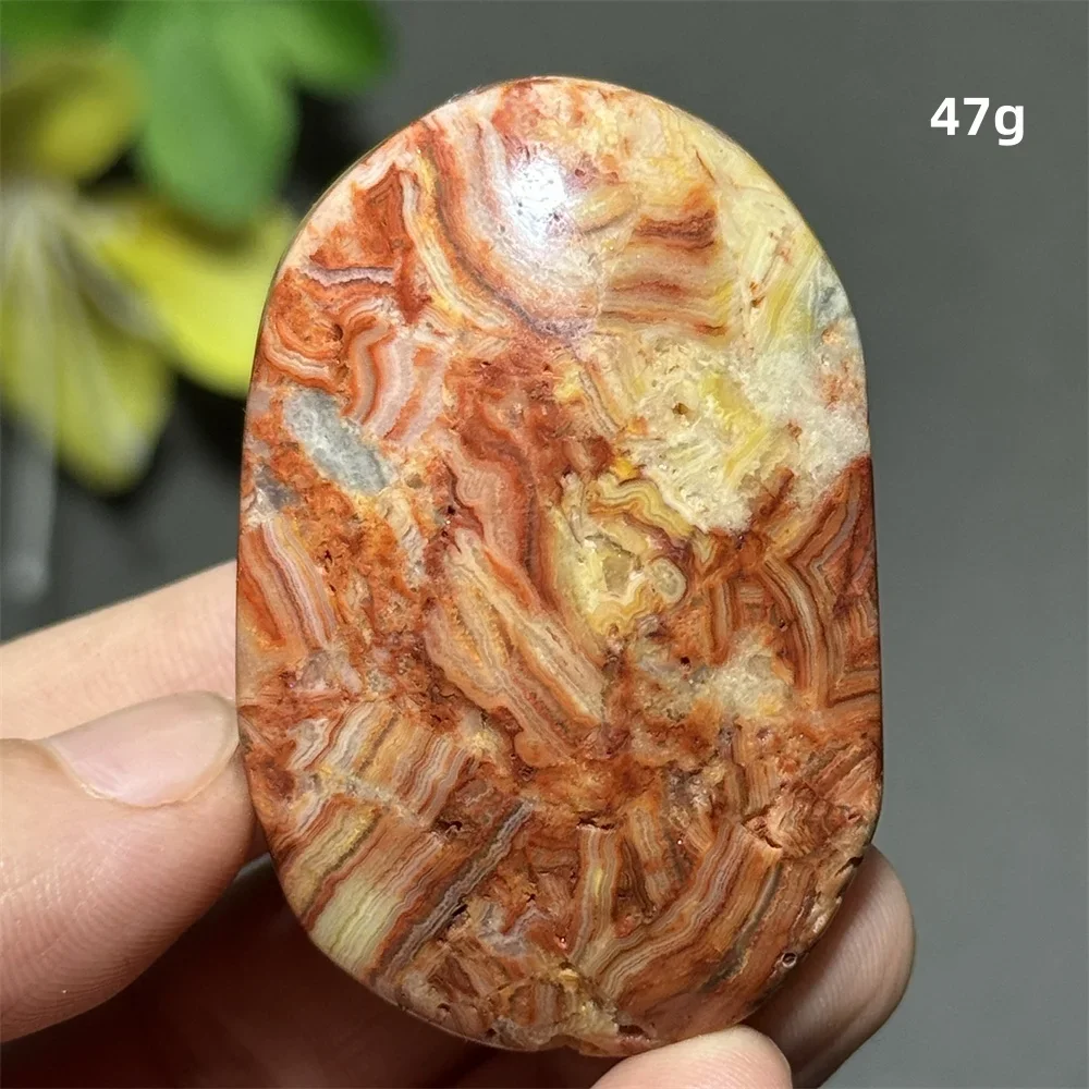 Natural Gemstone Crazy Agate Palm Home Decoration Reiki Healing Massage Mineral Quartz Crafts