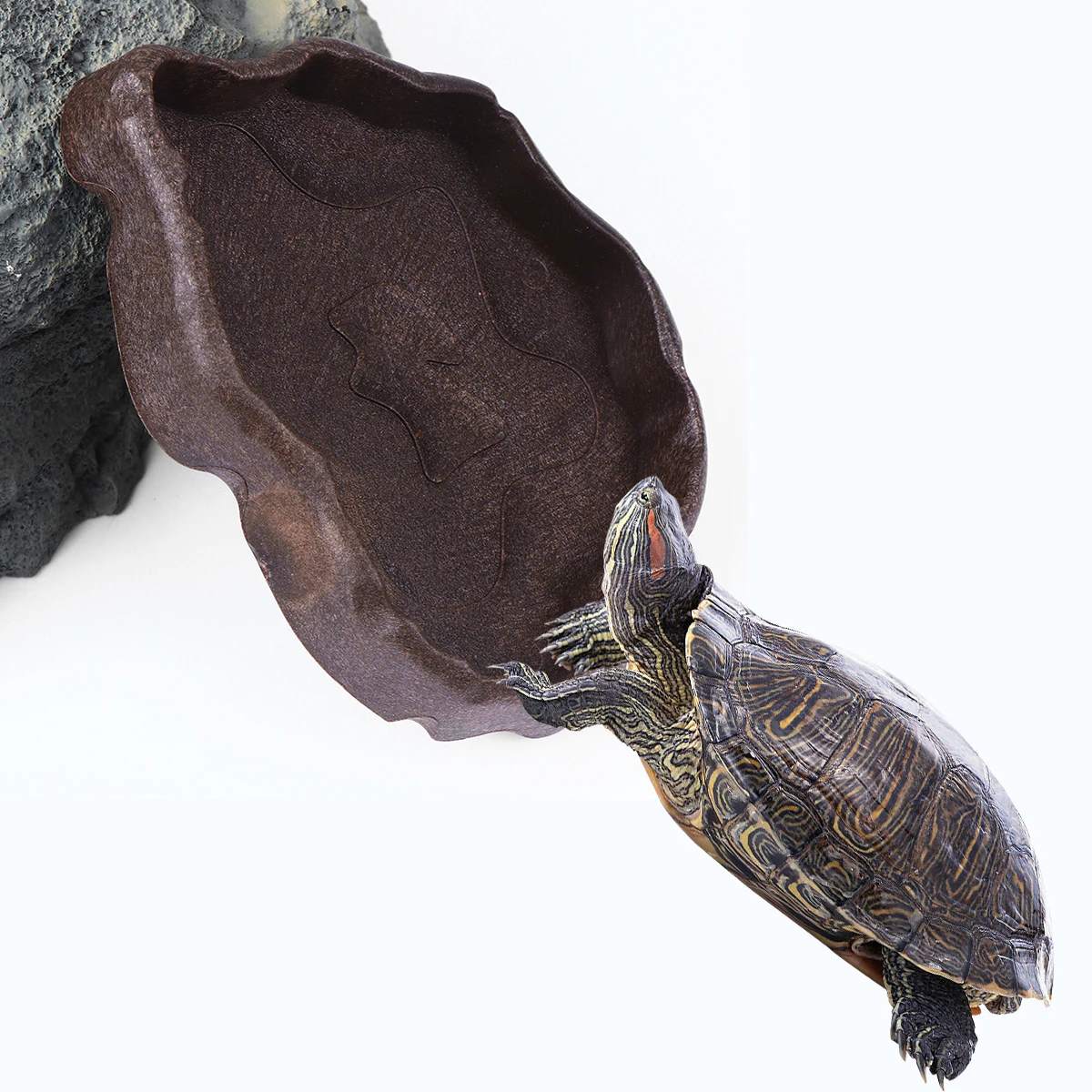 

Practical Resin Feeding Dish Coffee Size S Non-Skid Stable Pet Food Water Bowl for Reptiles Lizards Frogs Spiders