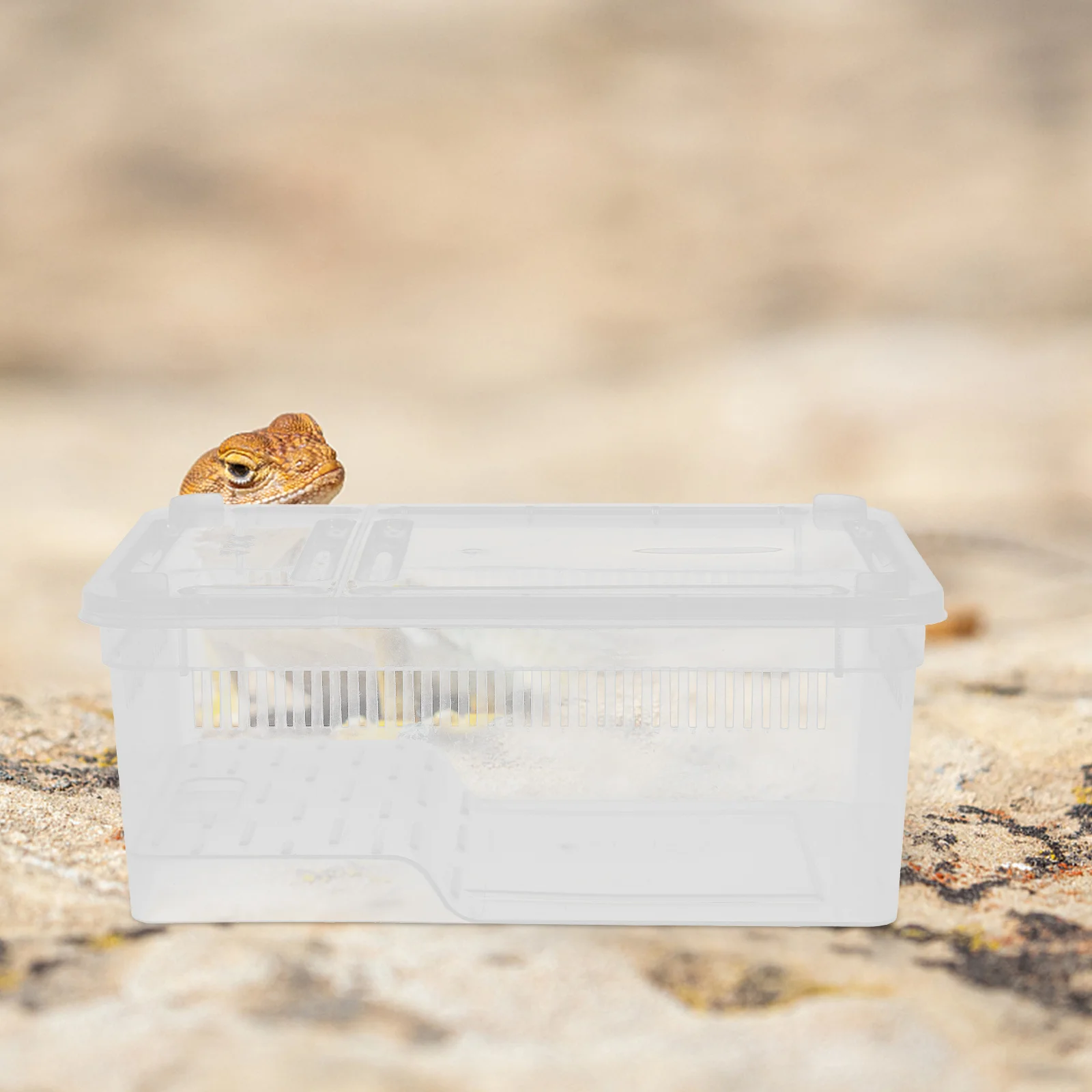 

Plastic Transparent Reptile Breeding Box 30X20X15Cm Portable Terrarium For Snake Lizard Spider Insect Container Ventilated