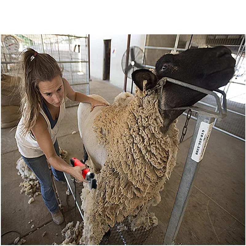 500W 6 Speed compatibele Livestock Sheep Shearing Electric Scissors Machine