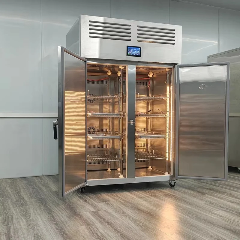 Ultrasonic Double-Door Freezing Equipment Thawing Cabinet Humidity Controlled Thawing Cabinet Frozen Food Thawing Machine Custom