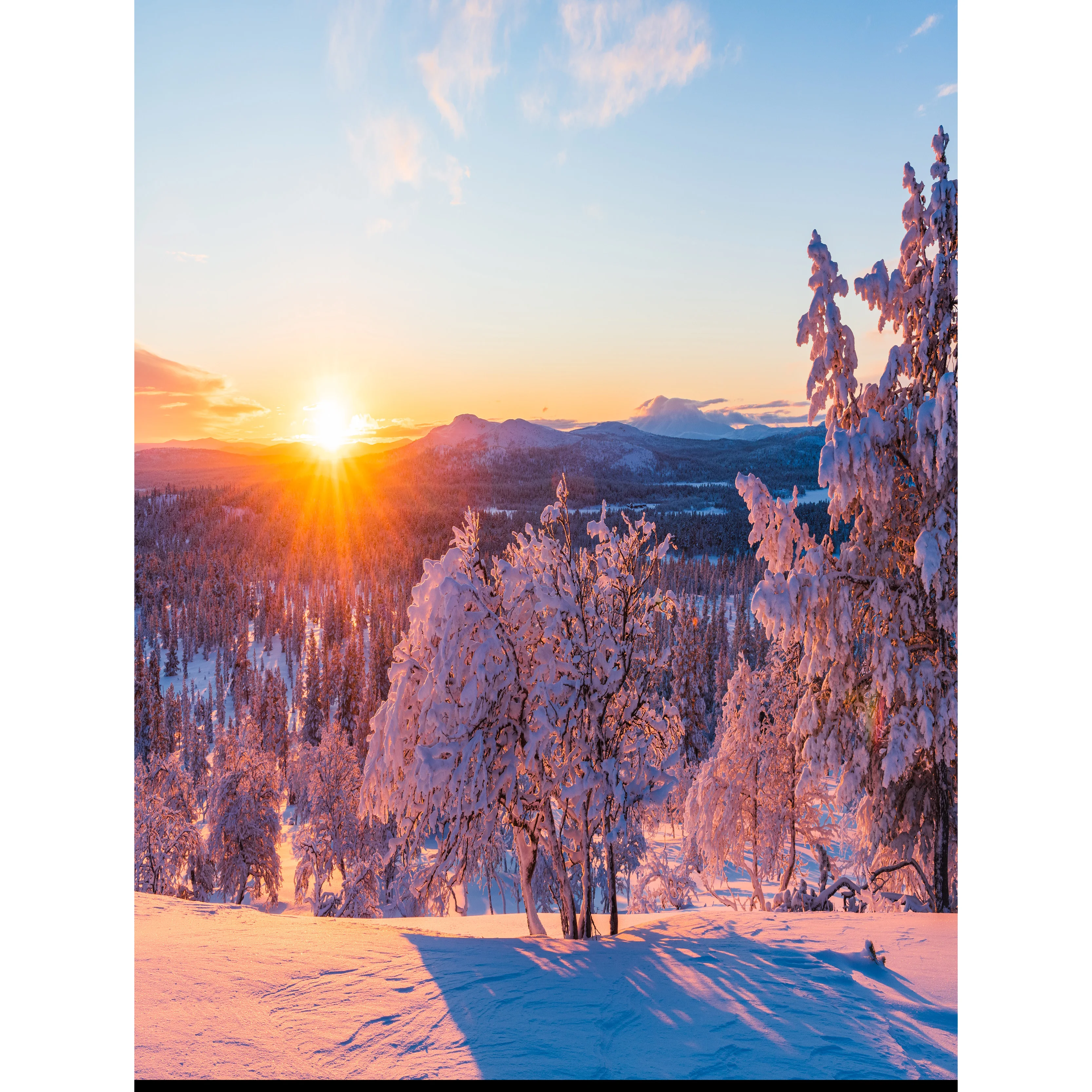 XD-13พื้นหลังรูปต้นไม้เกล็ดหิมะป่าหิมะสำหรับฤดูหนาวภาพพื้นหลังเบลอภาพภูมิทัศน์