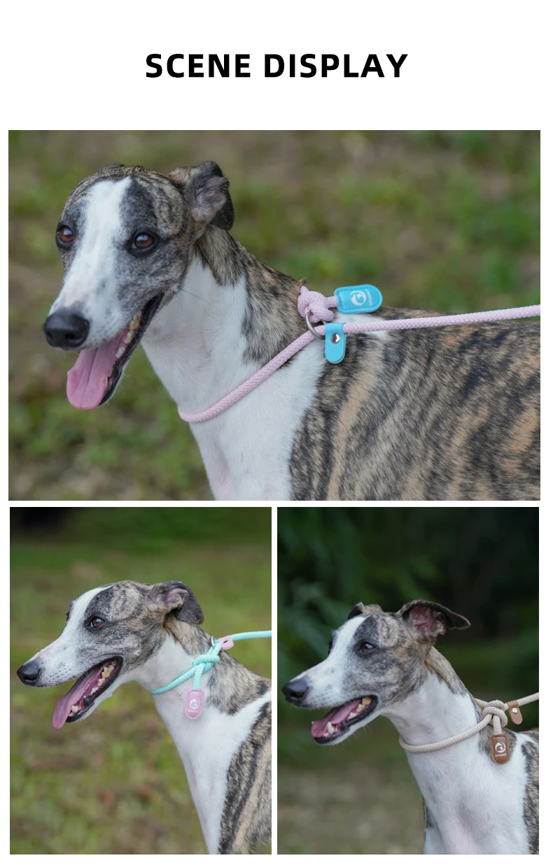 Kleine Hundeleine, multifunktionales Haustierhalsband, Leine, Seil, Taille, Umhängeleinen, Hundegehübung, Laufen, einfache Kontrolle – Detail 8