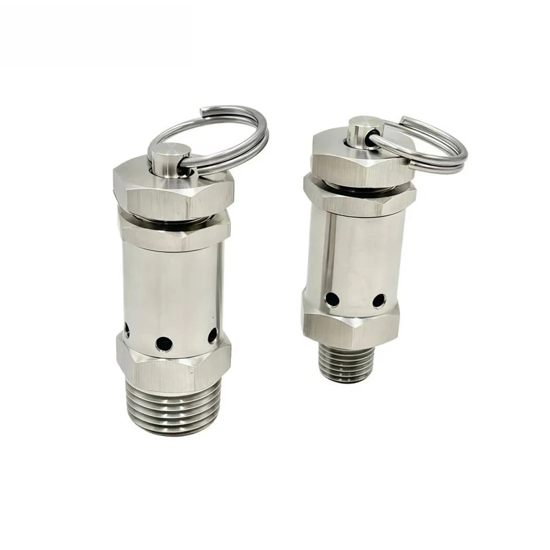 304 Stainless Steel Valve Pressure Relief Valve Spring-type Air Compressor Pressure Cooker Valve Quick Installation