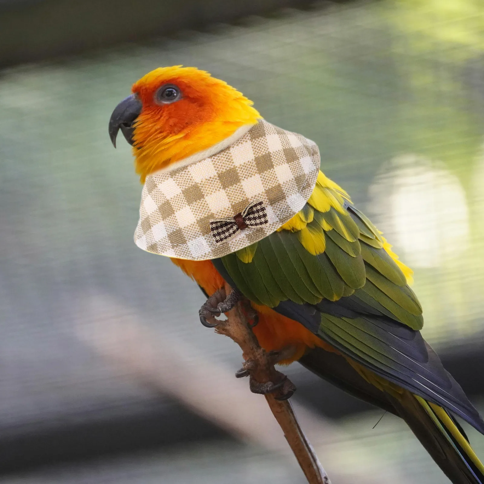 

2pcs Pet Protective Collar For Birds Lightweight Parrot Recovery Cone Anti-Pecking Safety Gear For Budgerigar Cockatiel Parakeet