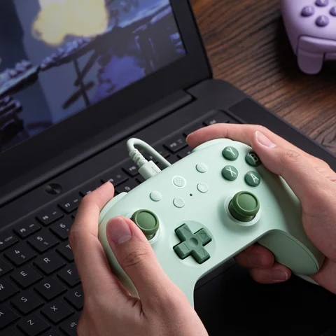 8BitDo Ultimate 2C проводной геймпад для PC и Nintendo Switch — фото модели
