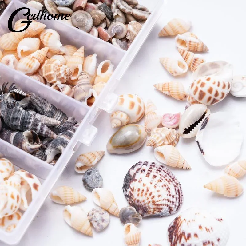 1 Box Sea Shells Spiral Shell Tiny Ocean Spiral Seashells Crafts Aquarium Decoration Landscaping Accessories Photography Props