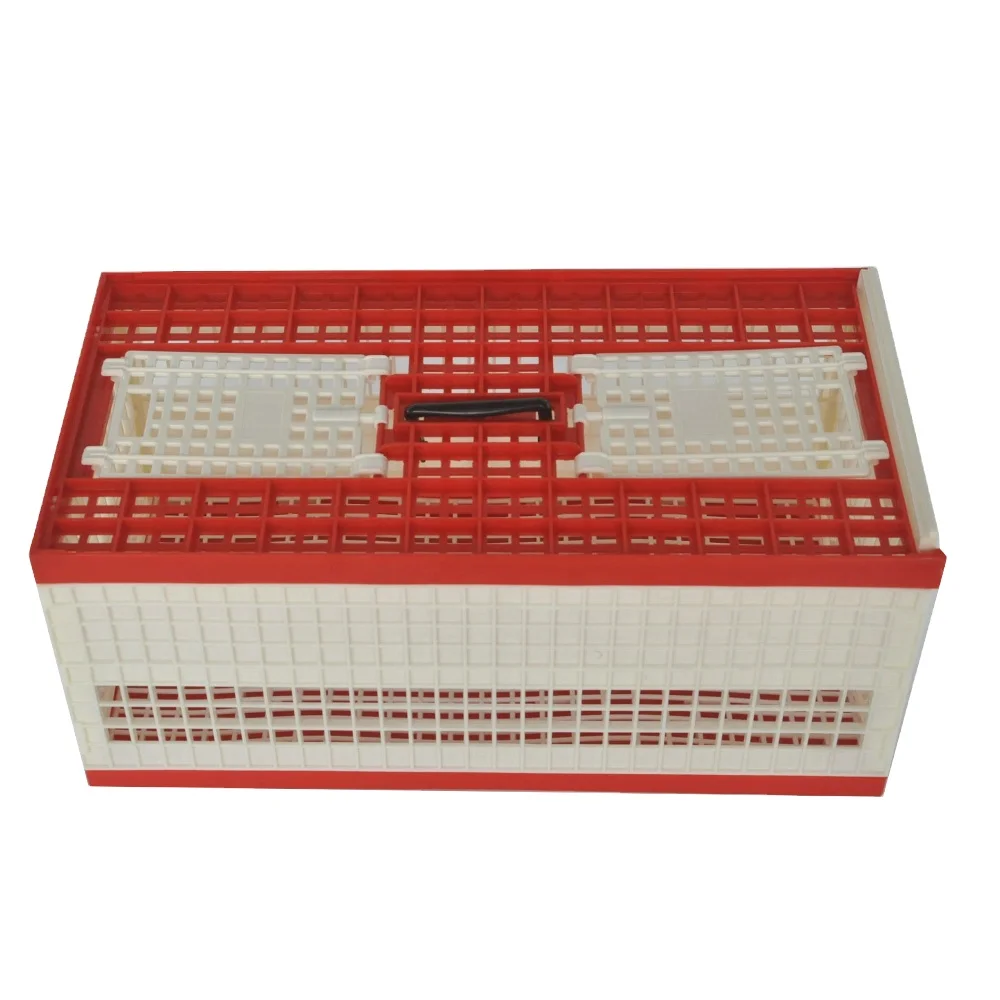 

Wholesale Transport Cage Racing Pigeon Supplies Plastic Bird Cages Nest Sizes Green Red Transport Foldable Pigeon Baskets Cages