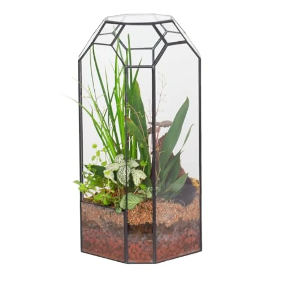 

Glass Geometric Terrarium for Plant Succulent Cacti - 5.5"x5.5"x12.8" Indoor Tall Octagon Glass Planter Home Garden Office Deco
