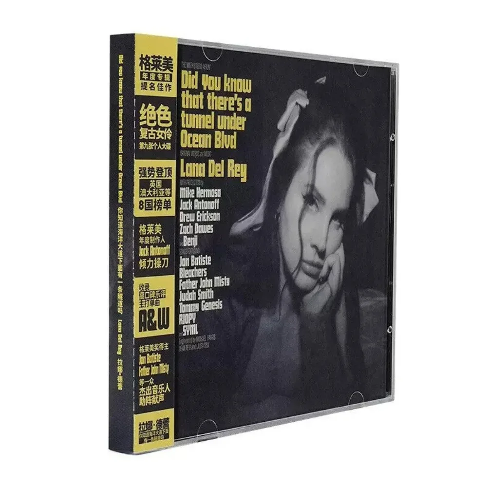 Lana Del Rey Did Yo… - image