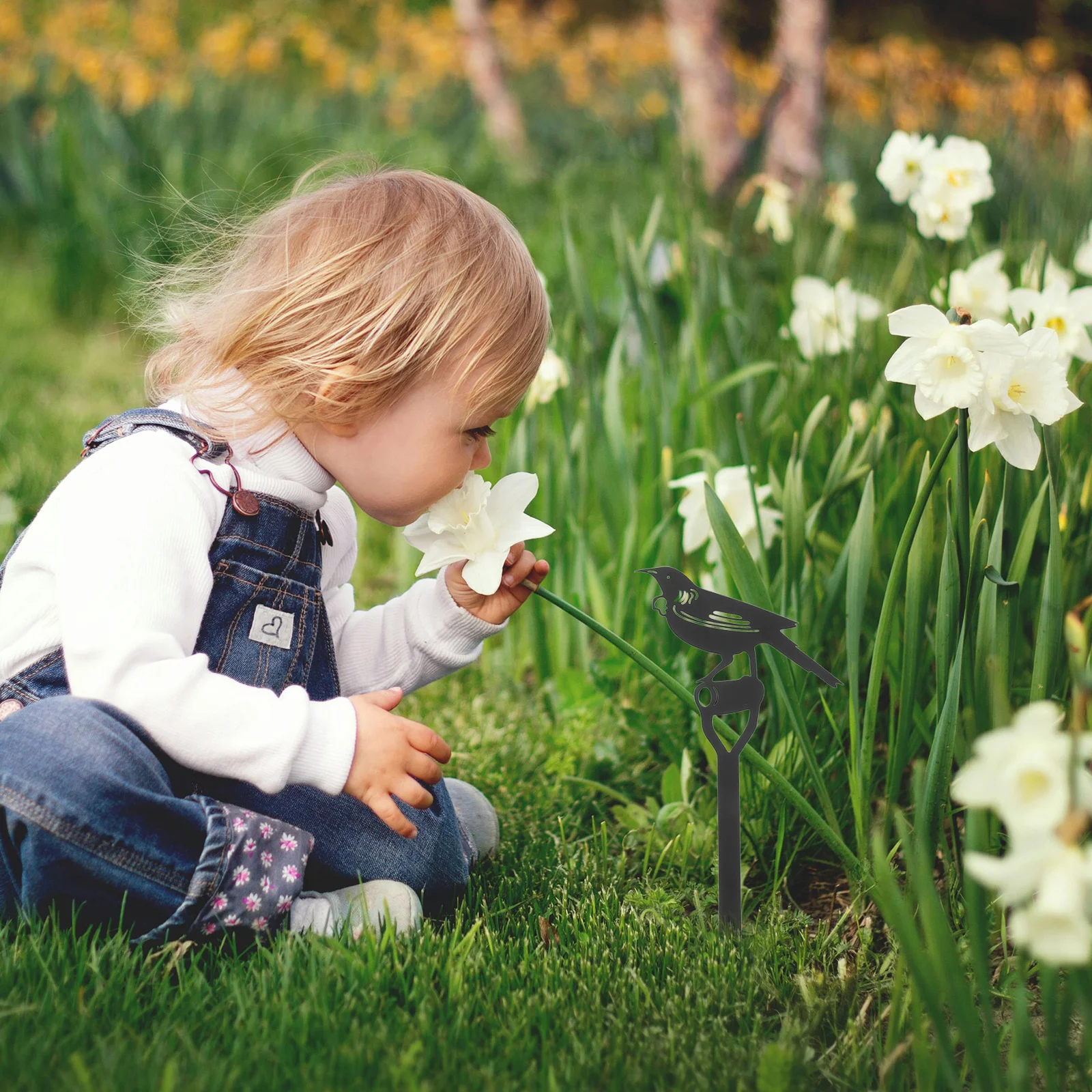 

Bird Garden Stake Iron Decorative Spring Connected Lawn Yard Garden Outdoor Patio Decoration Yard Decor Patio Stake Decor