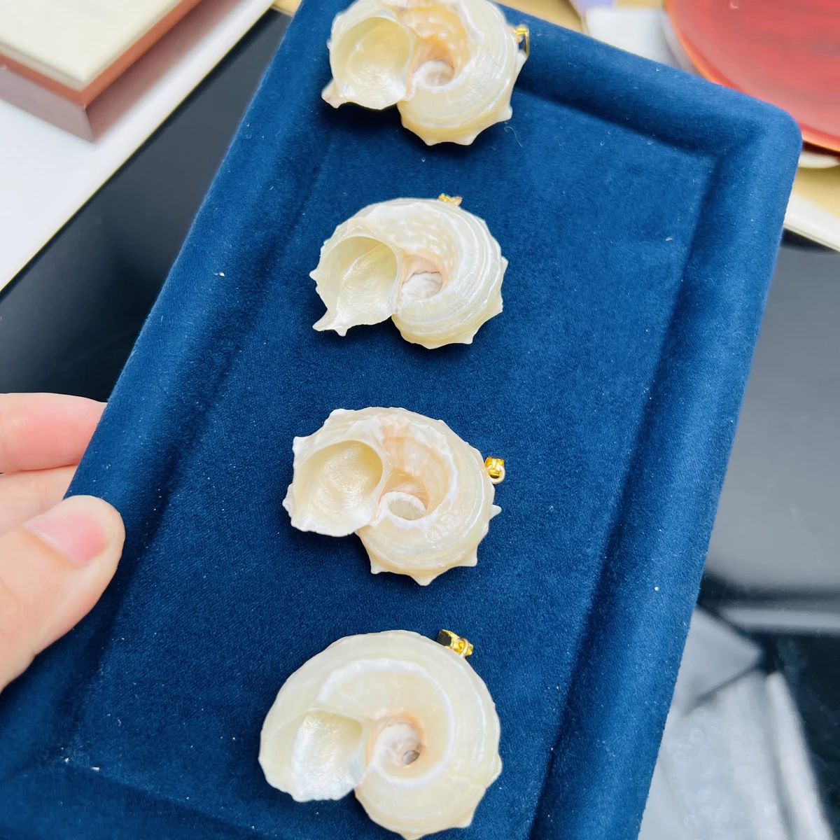 

1/3/5pcs Fine Natural Freshwater Shell Conch Pendant Delicate Jewelry Making DIY Necklace Earring Accessories Women Wedding Gift