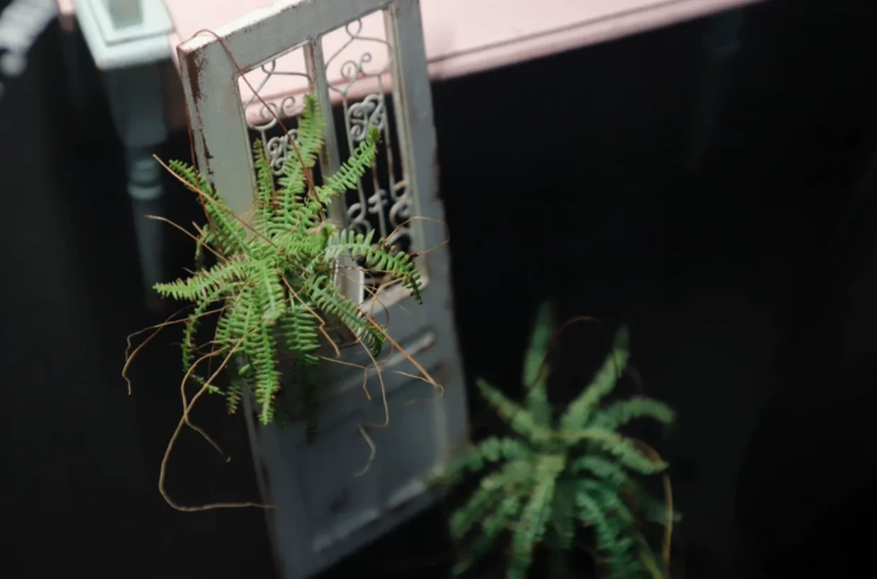 1:6 Miniature Plant Set, Handmade Realistic Fern Maple Caladium Potted,Exclusive Custom Sizes BJD Dollhouse Garden Bjd Decor Art