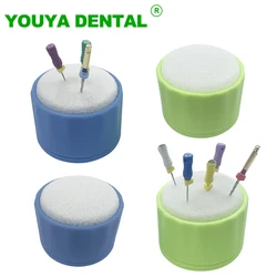 Dental Round Endo Stand Cleaning Foam Sponge Files Drills Block Root Canal File Holder Washing Box Dentist Laboratory Products