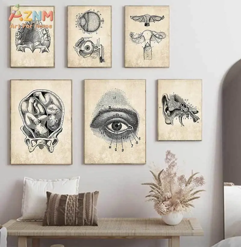 AZNM Vintage Human Anatomy Medical Art Canvas Wall Art Print Decor