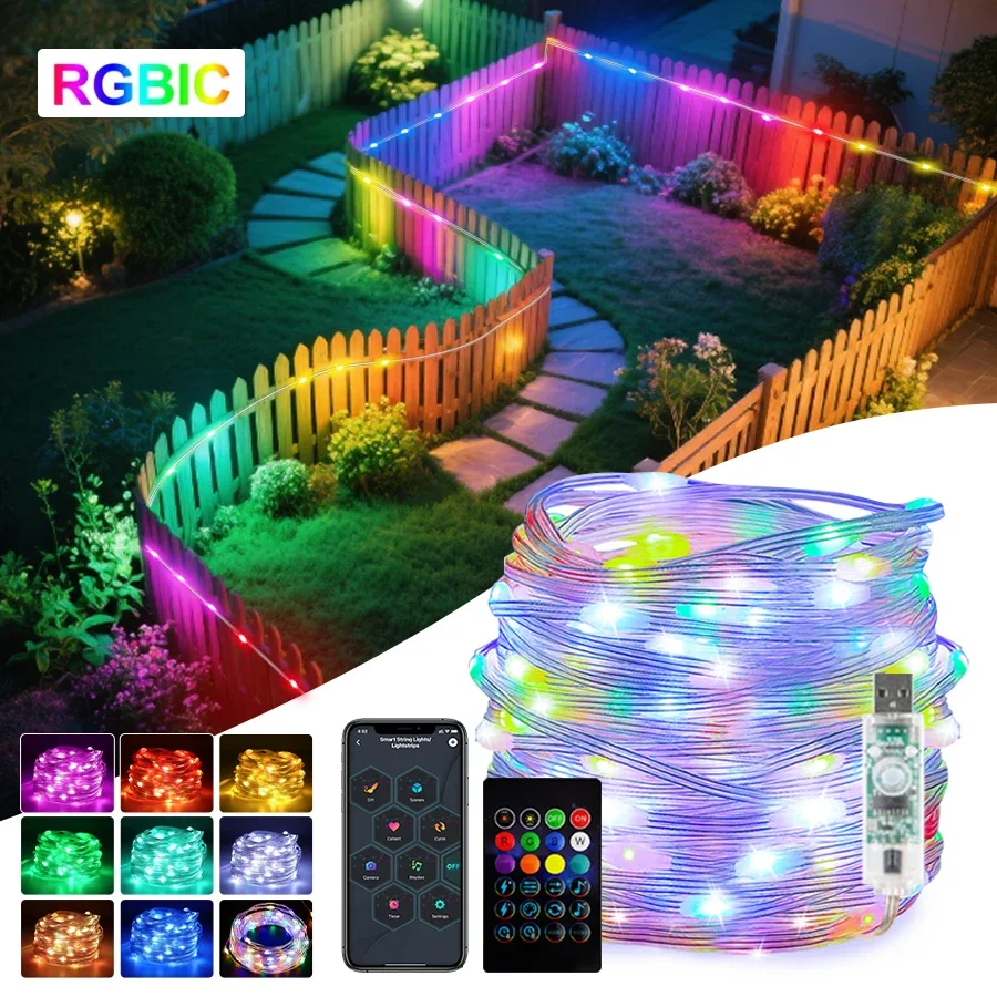 WS2812B RGBIC LED String Light RGB Fata Luci natalizie Bluetooth USB 5V indirizzabile individualmente APP musicale Colore da sogno