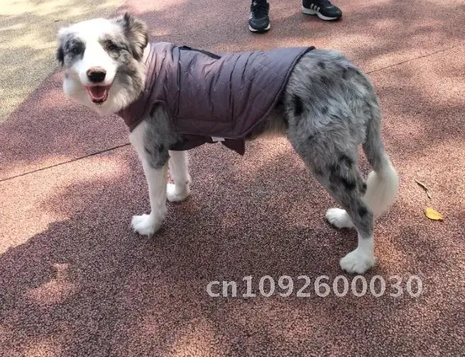 

New Pet Clothes Autumn And Winter Pet Clothes Thick Pet Clothing Double-sided Cotton Dog Can Waterproof Coat Wear Clothing