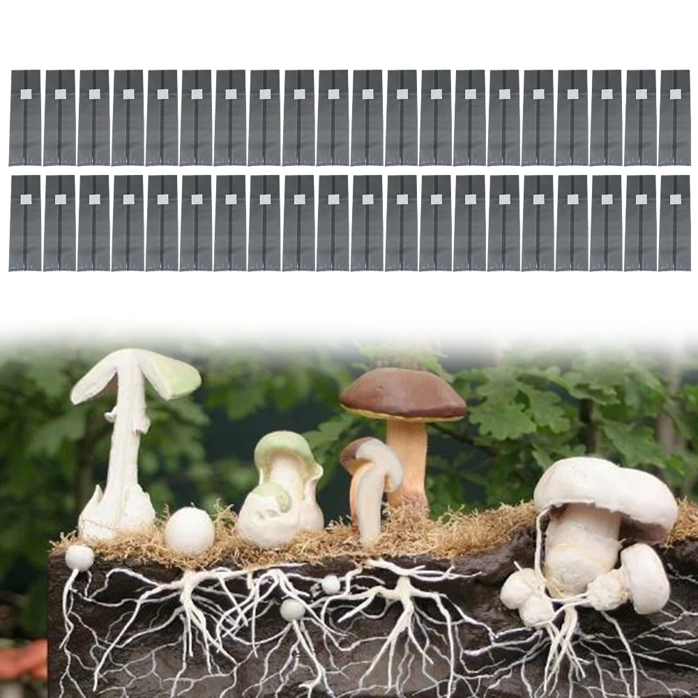 

20 шт., мешки для выращивания грибов, мешки для выращивания грибов с фильтром 0,2 цыплята, дышащие и хорошие несущие 20x15x5 см, детали садового инструмента