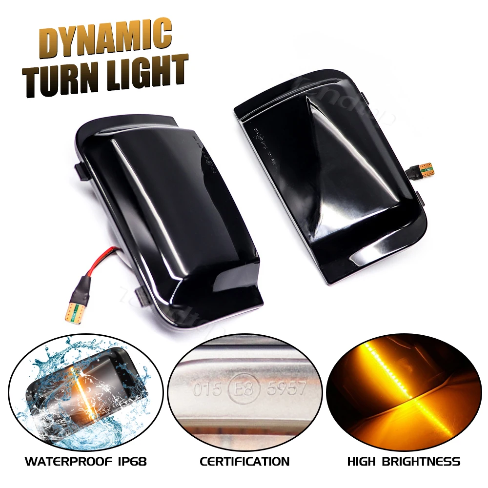 LED Dynamic Turn Signal Light For Peugeot Boxer Citroen Jumper RELAY RAM PROMASTER For Fiat Ducato Truck Car Side Mirror Lamp