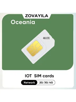 4G SIM 카드, 애완 동물 GPS, G51, TK909, RQ31 트래커, 아시아 고양이 개 GSM 포지셔닝 칼라, 360 데이 서비스 호환