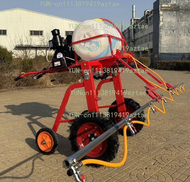 100L Hand Push Agricultural Powered Boom Sprayer, Motorized Walk-Behind Farm Weeding Pest Control Spraying Machine