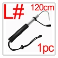1(L)