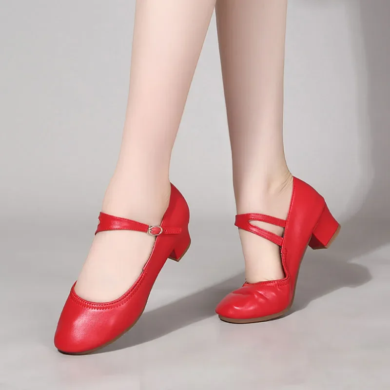 Ballroom Dance Shoe Women Standard Dance Shoes Women Practise Latin Dancing Shoe Soft Outsole Professional Tango Shoes Women