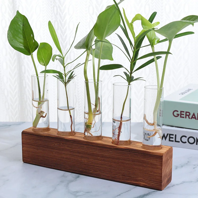 

5-hole Test Tube Glass Vase Creative Internet-famous High-grade Transparent Vase Hydroponic Flower Flower Arrangement Flower Hom
